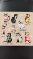 Cats in jumpers tin