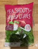 A MIX OF PEA SHOOTS, BABY SPINACH & BABY RED CHARD