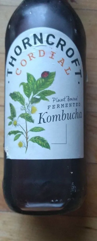 Fermented kombucha
