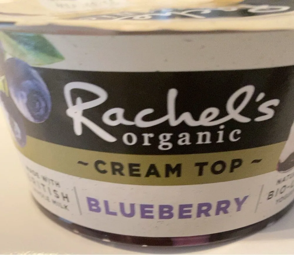 Blueberry yogut
