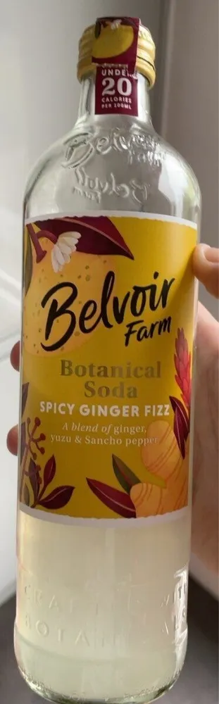 Spicy Ginger Fizz