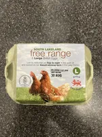 Large British Eggs
