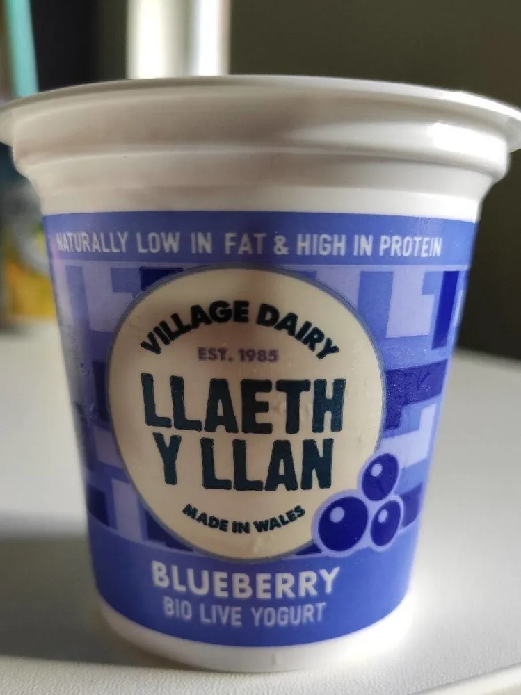 Blueberry bio live yogurt