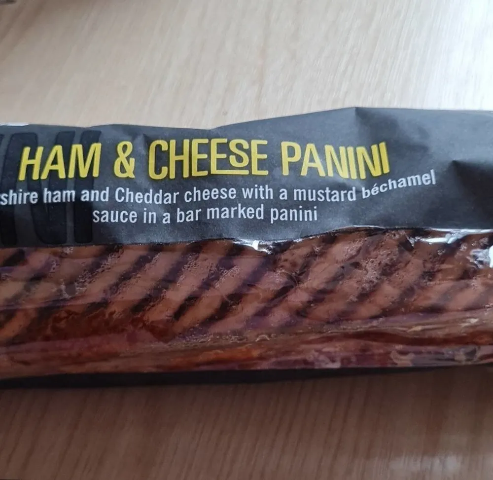 Ham and Cheese Panini