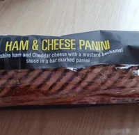 Ham and Cheese Panini