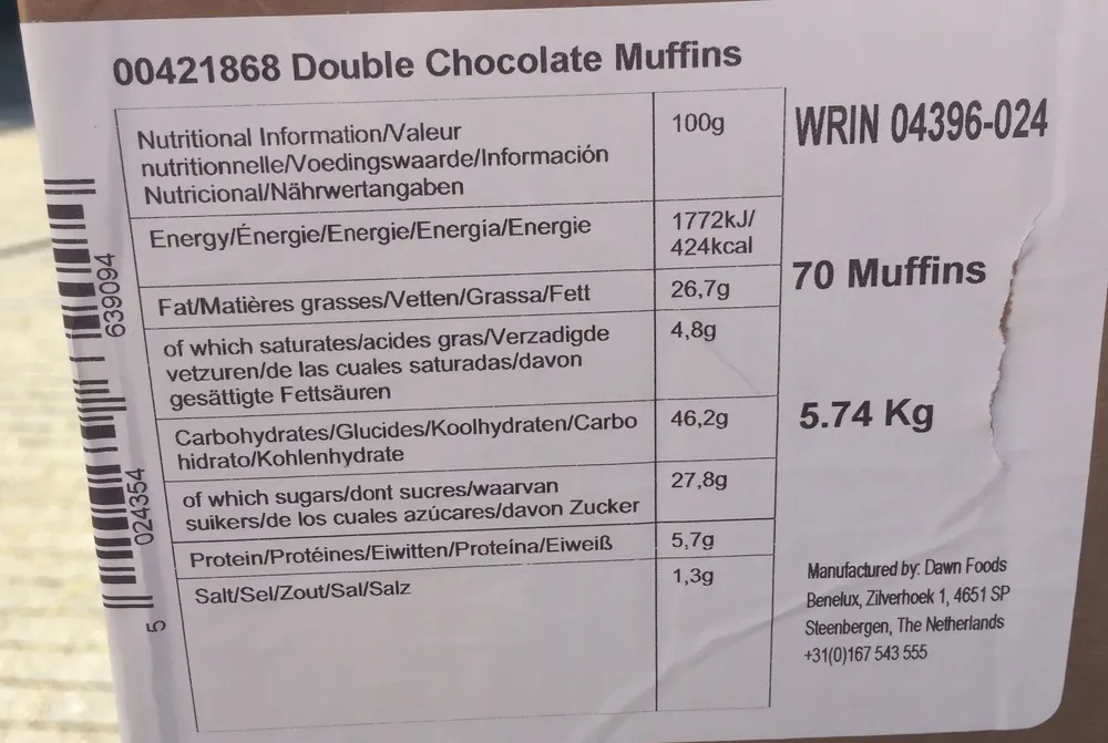 Double Chocolate Muffins