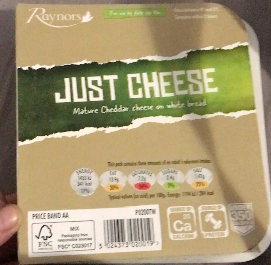 Just Cheese Sandwich