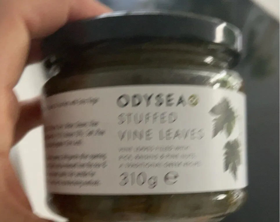 Stuffed vine leaves