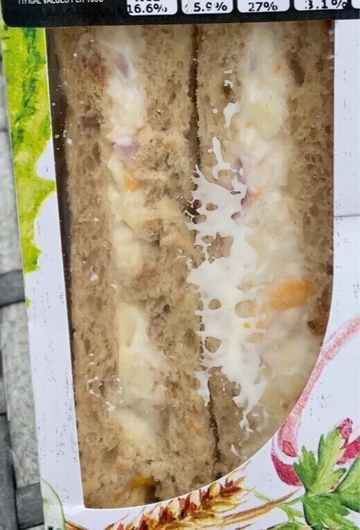 Cheese Red Onion Sandwich