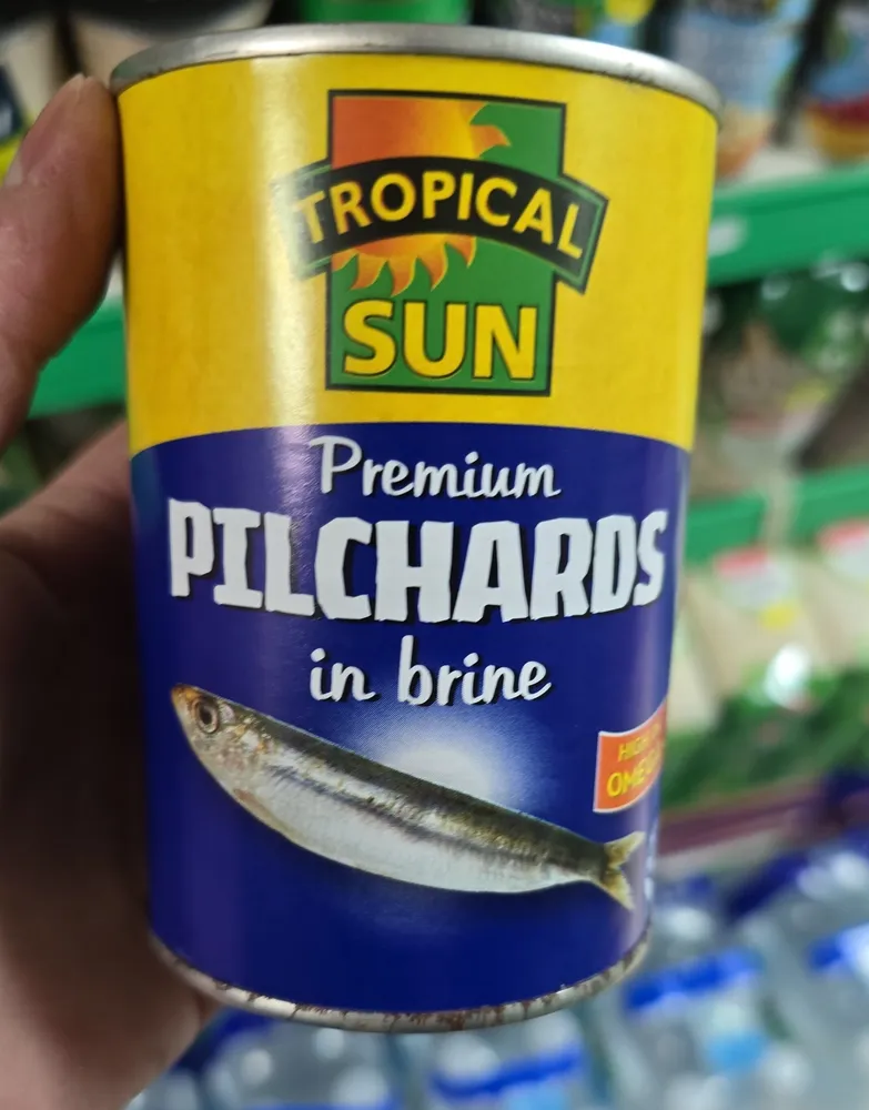 Pilchards In Brine