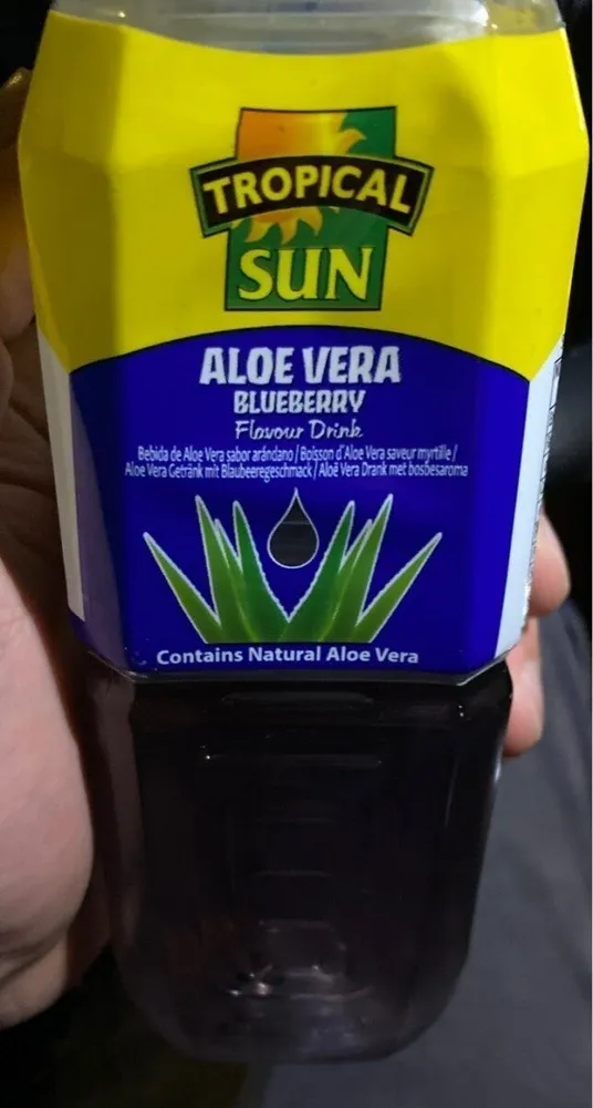 Tropical sun blueberry