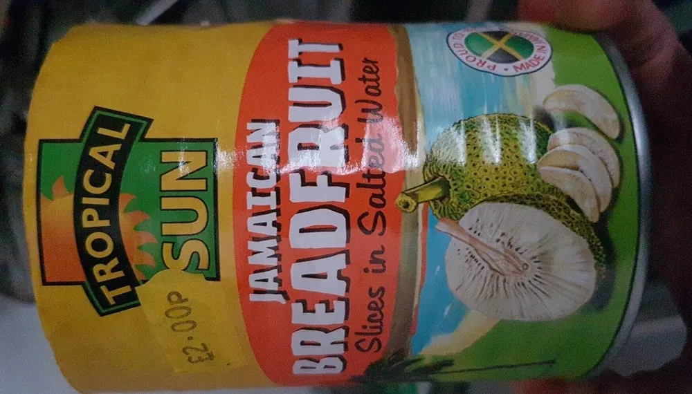 Jamaican Breadfruit