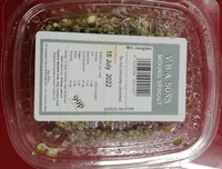 Moong sprout