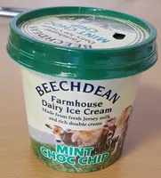 Mint choc chip