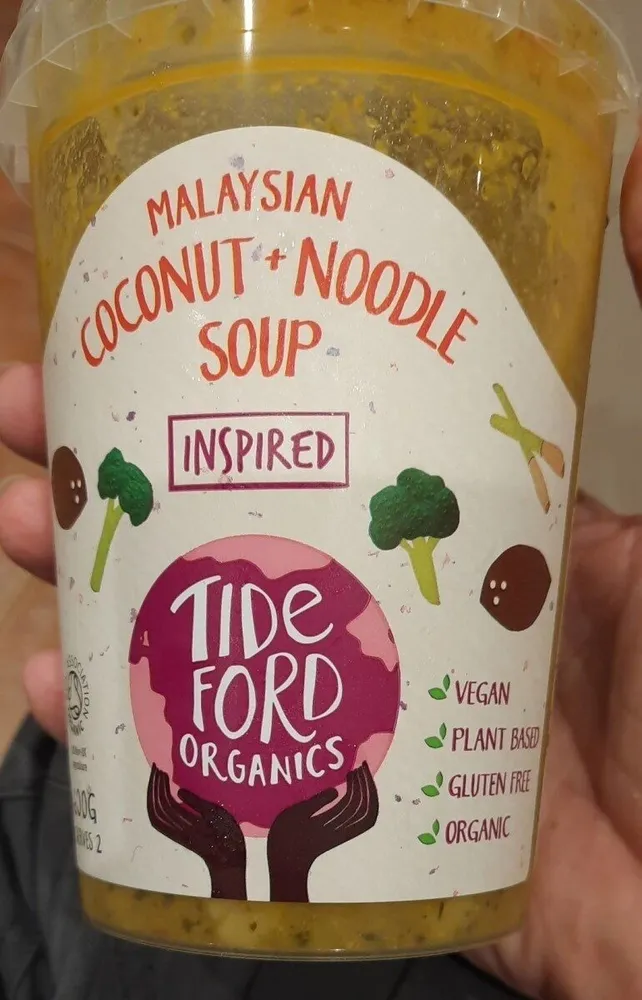 MALAYSIAN Coconut and Noodle Soup