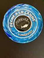 Thon atlantique Listao des açores