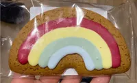 Iced gingerbread rainbow