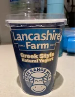 Greek style natural yogurt