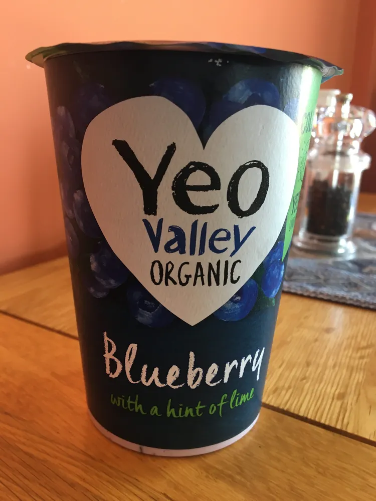 BLUEBERRY YOGURT