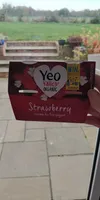 Yeo Valley Strawberry Yoghurt
