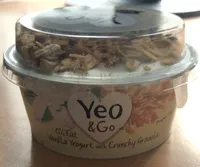 Vanilla Yeogurr with Crunchy Granola