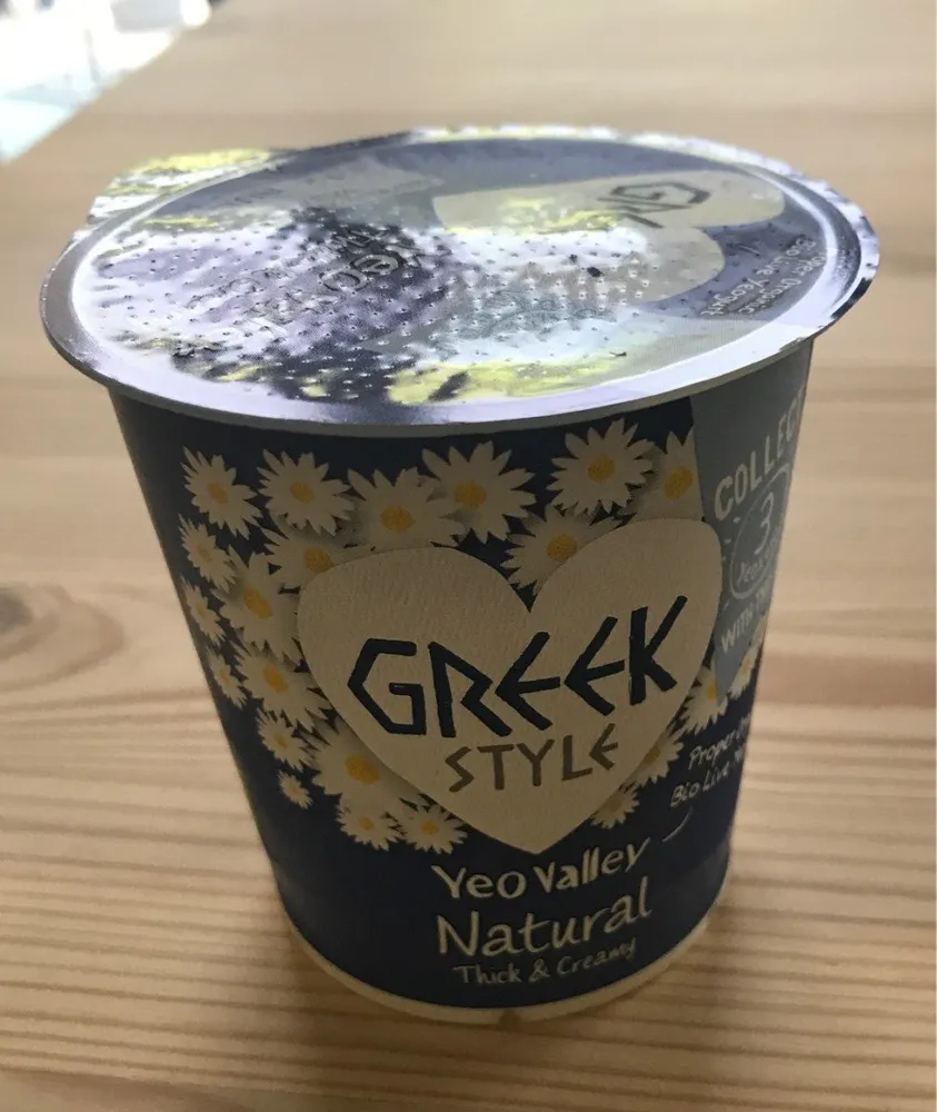 Greek Style yogurt