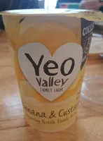 Banana & custard yogurt