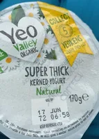 Super thick kerned yogurt natural