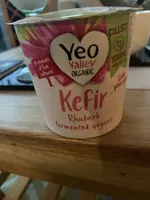 kefir rhubarb fermented yoghurt