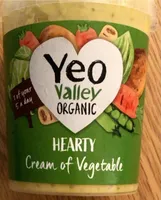 Hearty Cream of Vegetable