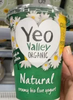 Yogurt