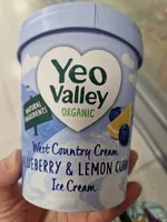 Blueberry and Lemon Curd Ice Cream