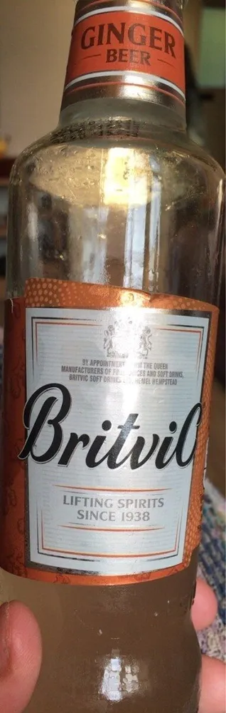 Britvic ginger Beer