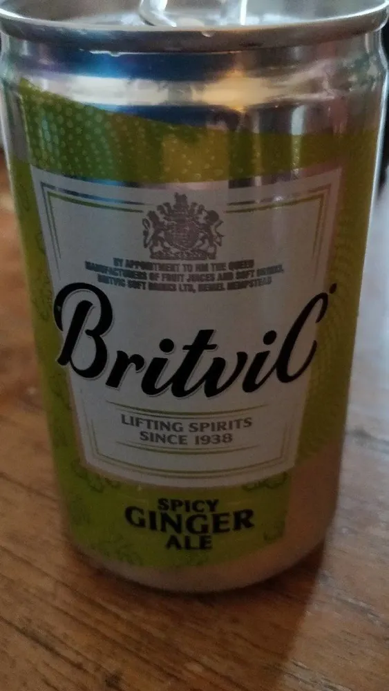 Spicy Ginger Ale