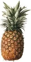 Ananas, Variété Extra Sweet