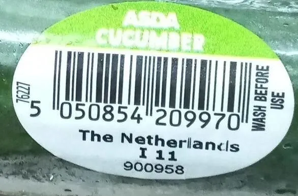 Cucumber