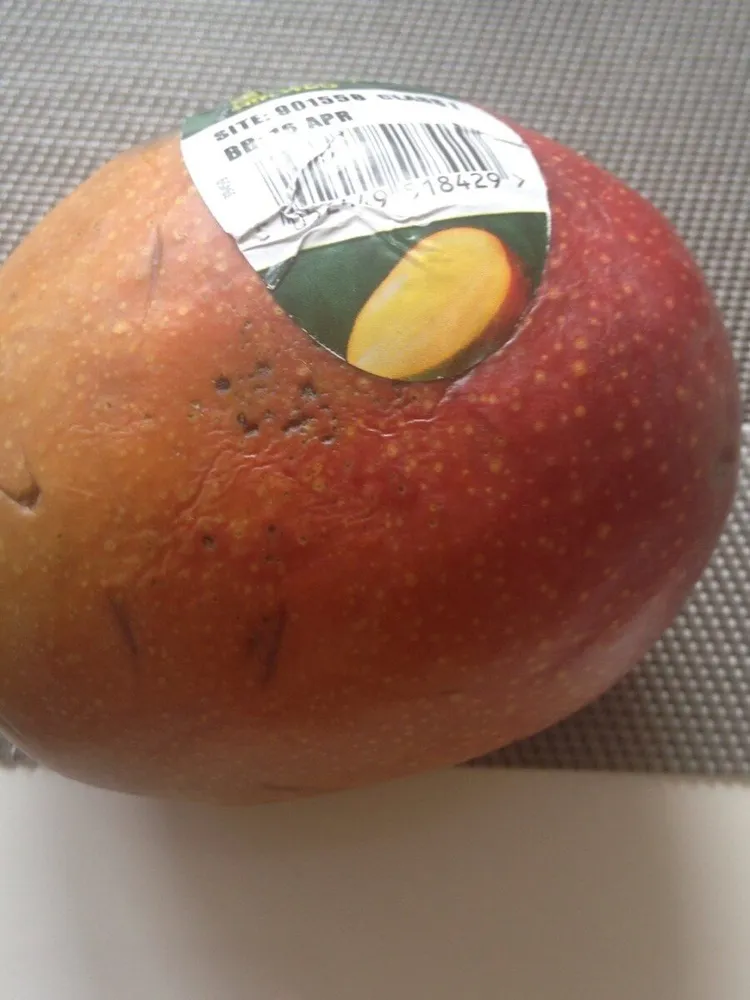 Mango