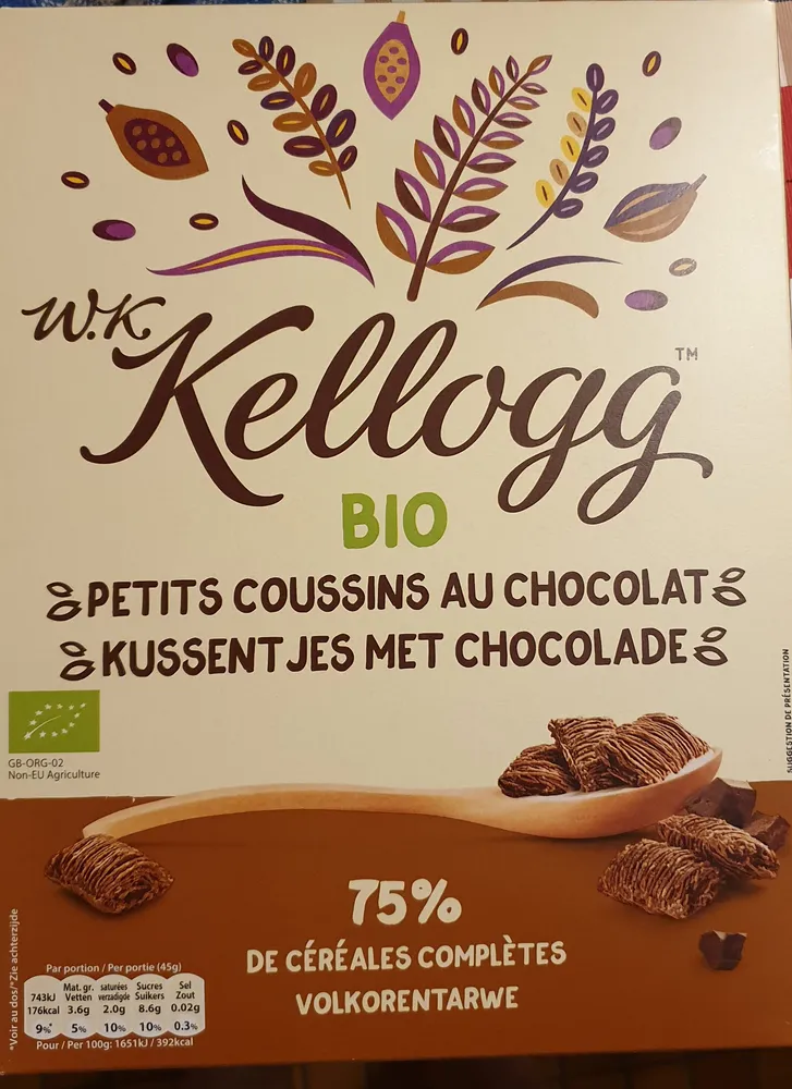Petits coussins au chocolat