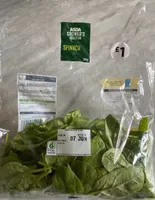Mild & Tender Spinach