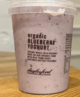 Organic blueberry yoghurt