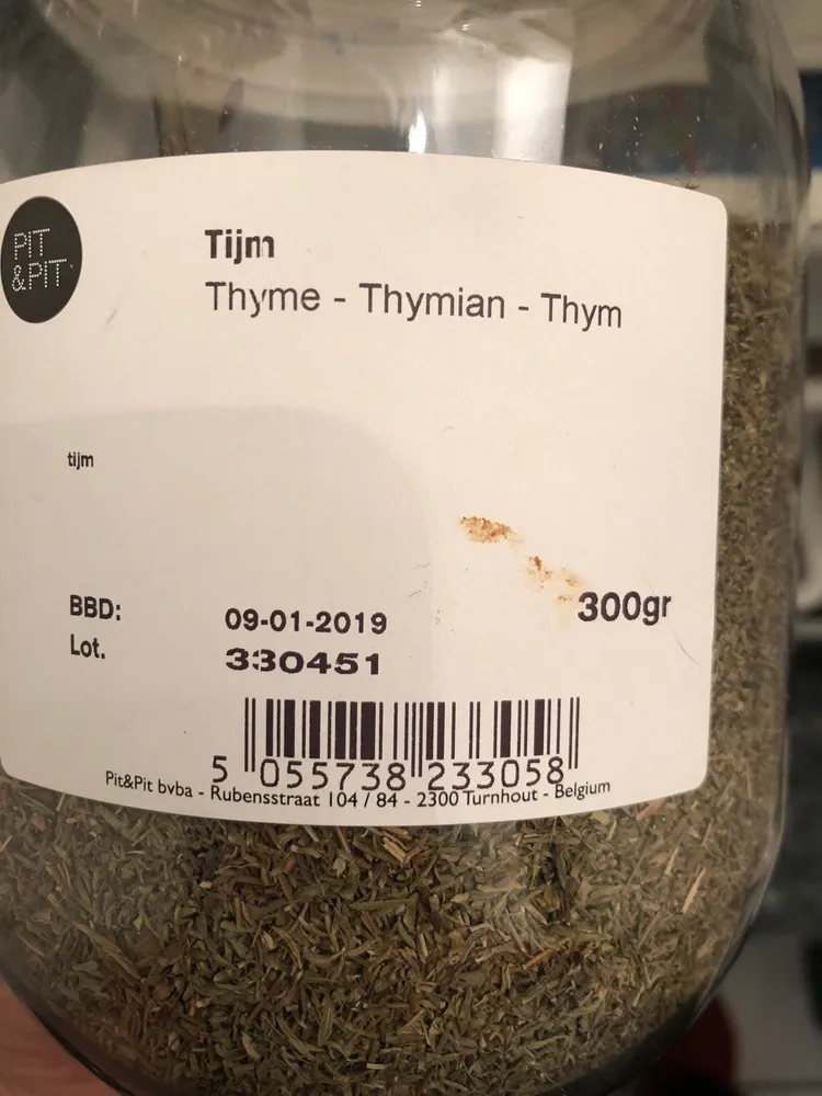Thymian