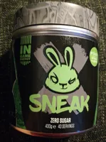 Sneak Stealth