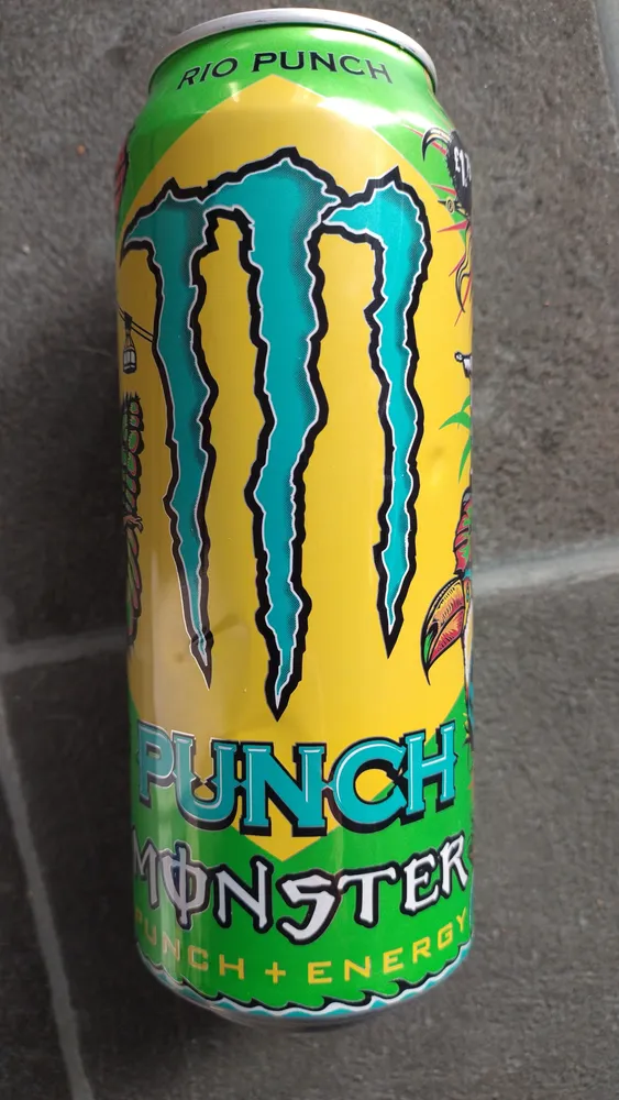 Monster Energy Rio Punch