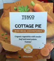 Cottage pie