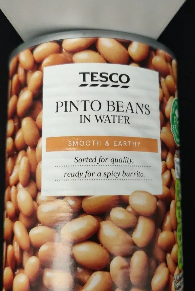 Pinto beans in water