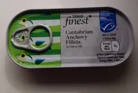 Cantabrian anchovy