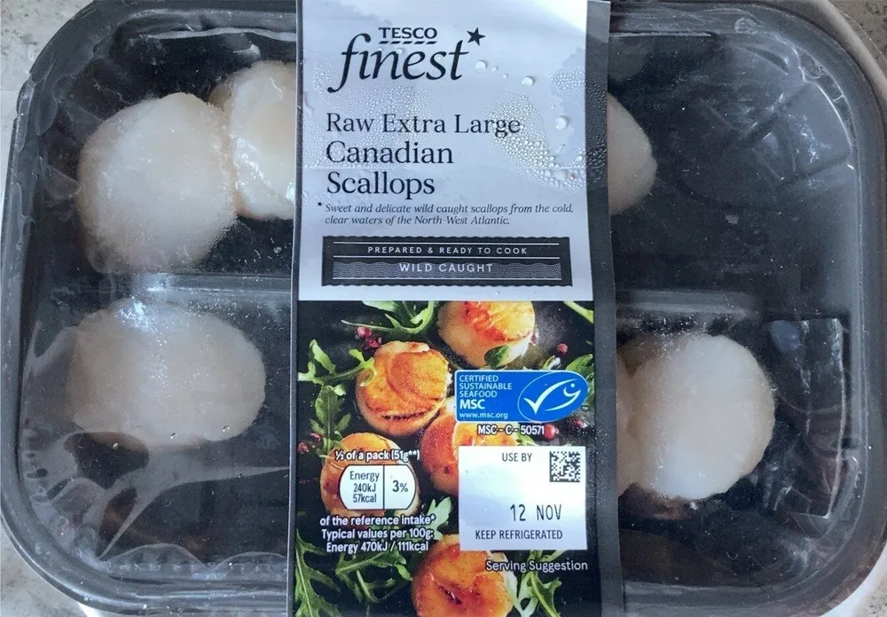Raw extra large canadian scallops