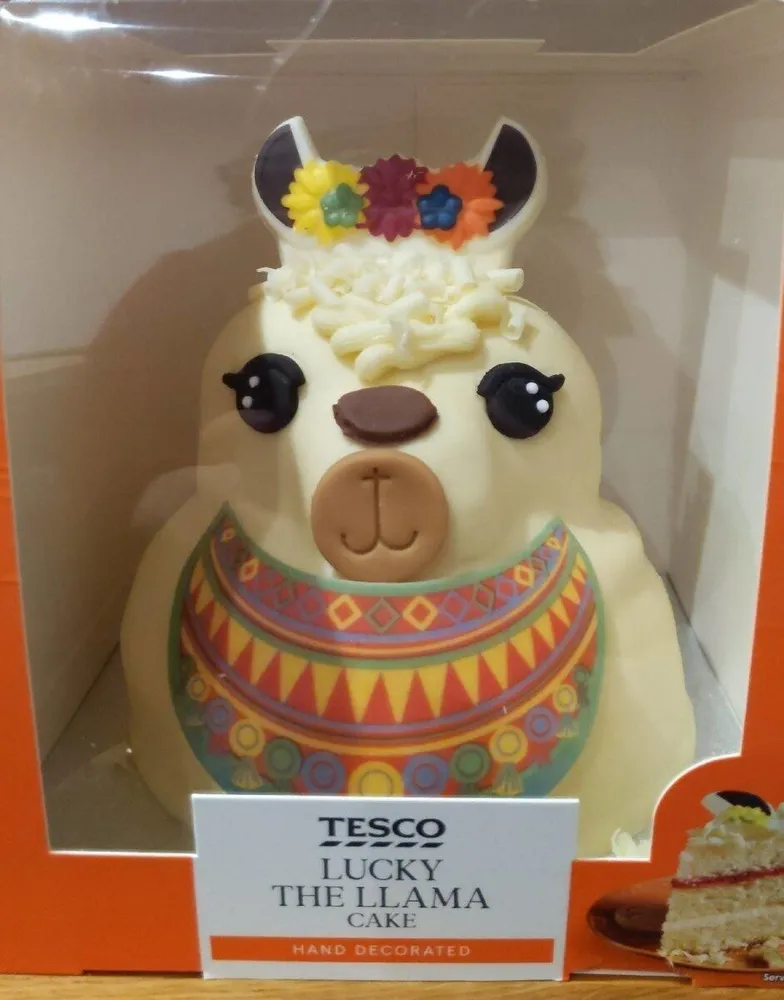 Lucky the llama cake