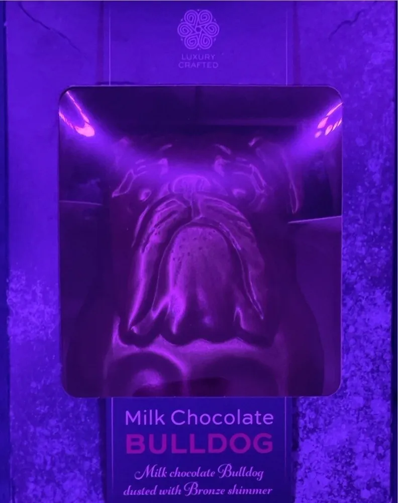 Milk chocolate bulldog