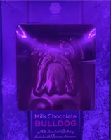 Milk chocolate bulldog